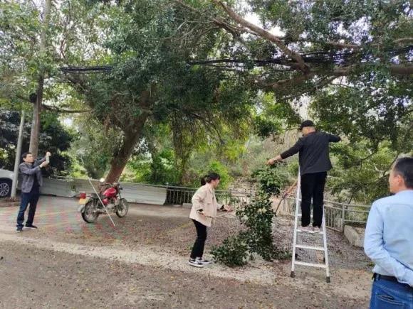 1615305027111882.jpg 1615305027111882.jpg