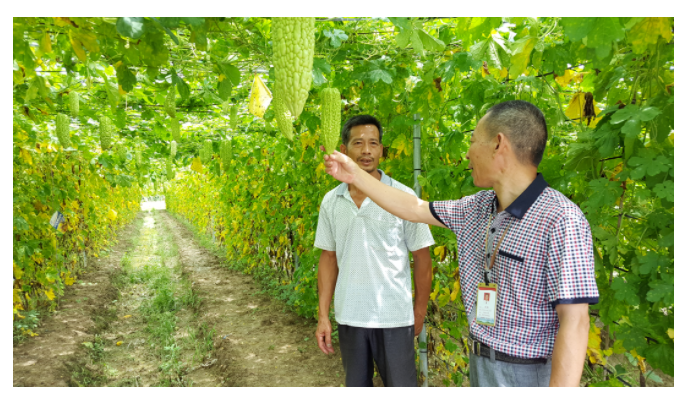 1626666743843422.png 1.png