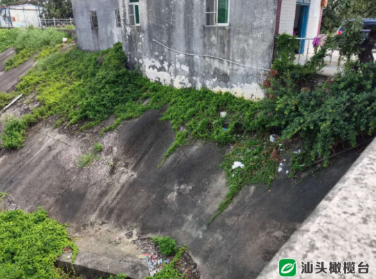 1629081945148459.png 4.png