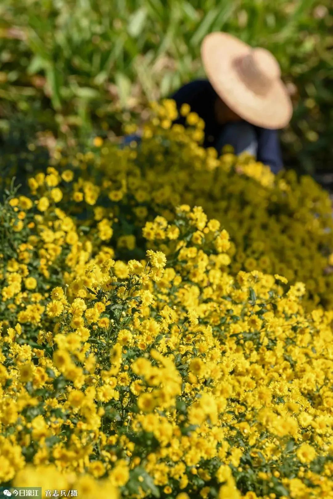 1629692905965504.jpg 2.jpg