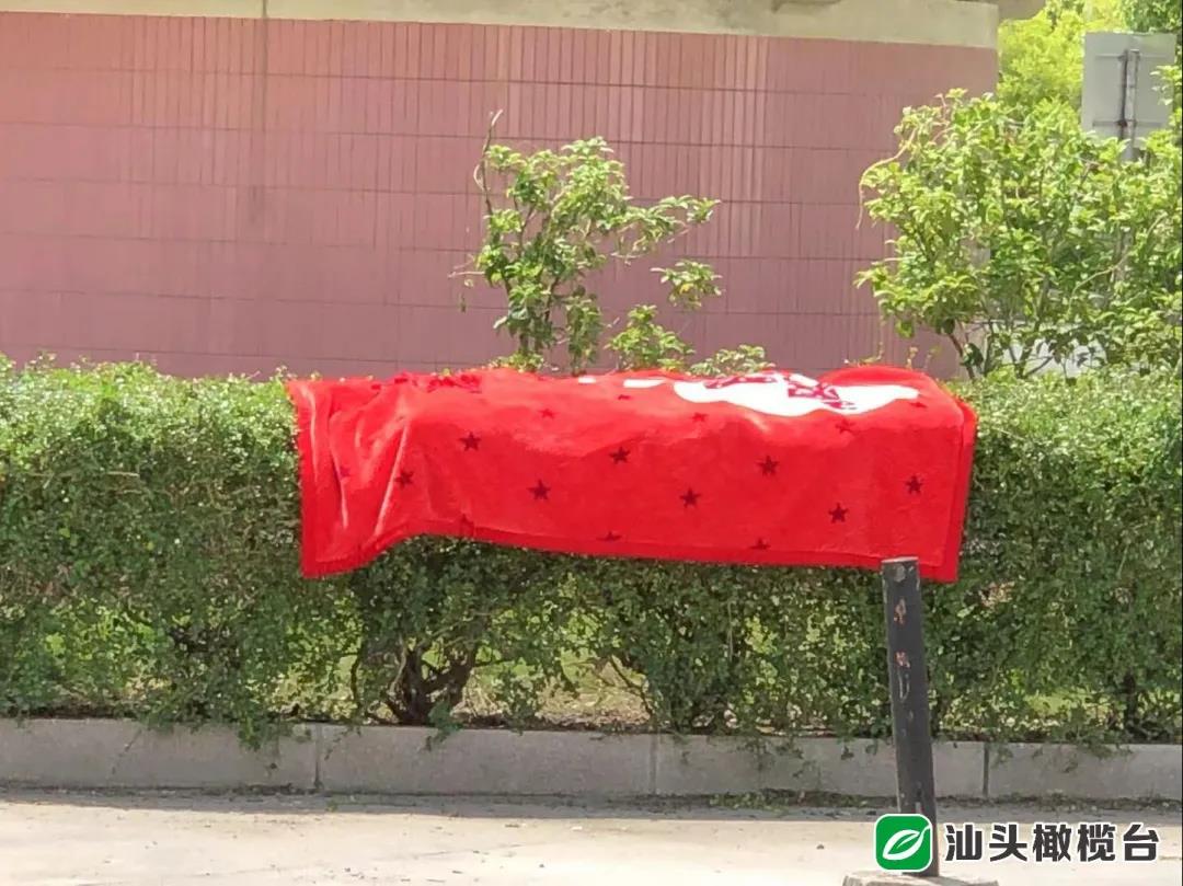 1629699702111886.jpg 3.jpg