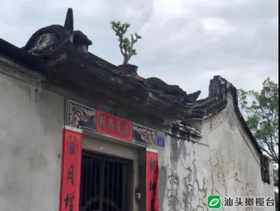 1630028287594527.jpg 2.jpg