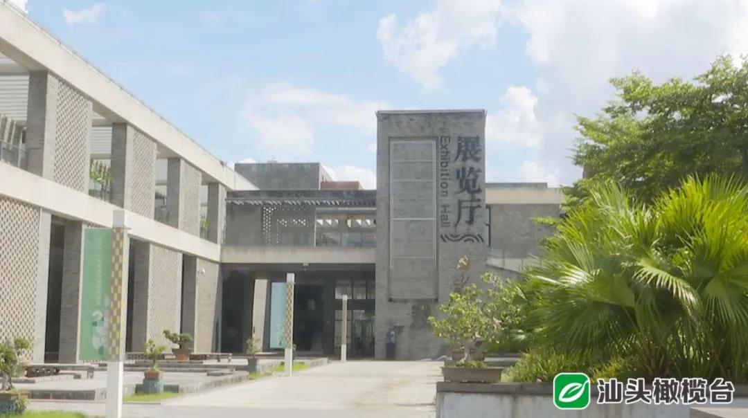 1630546705119017.jpg 4.jpg