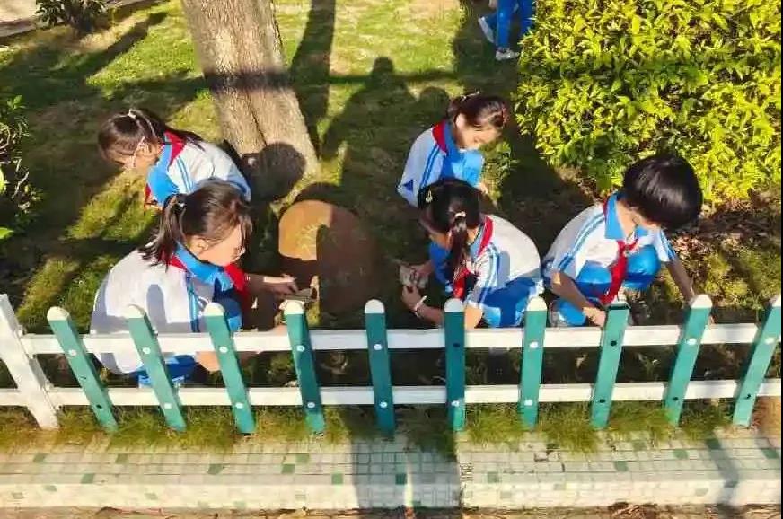 1634524176468142.jpg 6.jpg