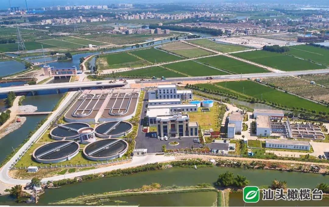 1635735352100784.jpg 4.jpg