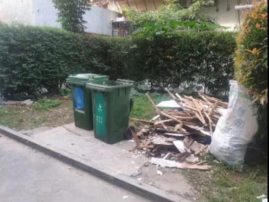 1637203252975315.jpg 2.jpg