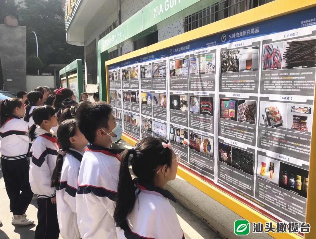 1638151785637946.jpg 3.jpg