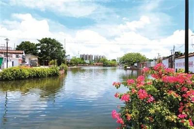 1638927929140868.jpg 2.jpg